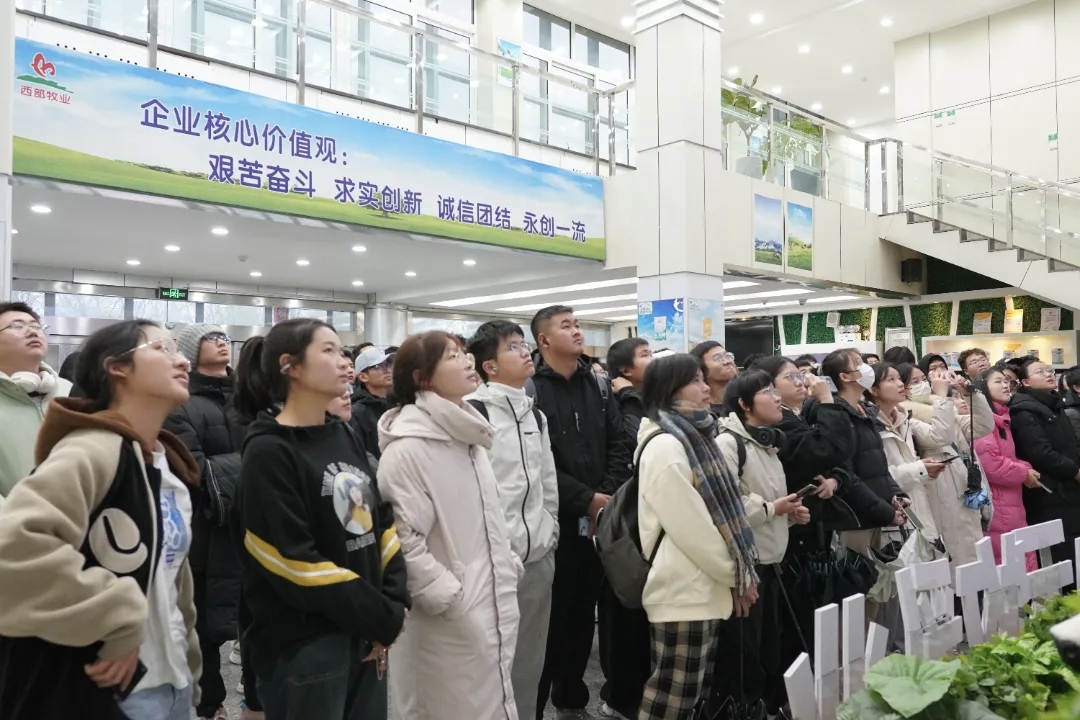石河子大學(xué)食品學(xué)院師生走進天山云牧開展認(rèn)知實習(xí)活動